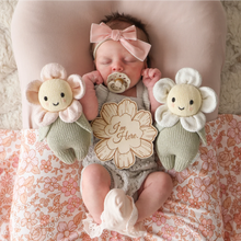 Load image into Gallery viewer, Baby Daisy (Ivory)