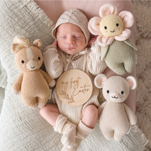 Load image into Gallery viewer, Baby Pony