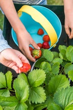 Load image into Gallery viewer, Bucki | Lagoon/Banana Blue