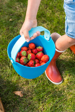 Load image into Gallery viewer, Bucki | Ocean