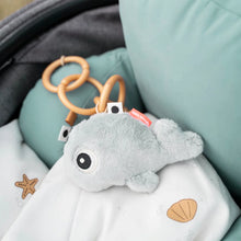 Load image into Gallery viewer, Wally Sensory Rattle