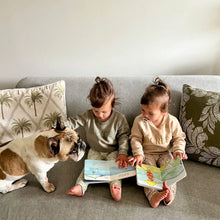 Load image into Gallery viewer, Box Set | Special Edition