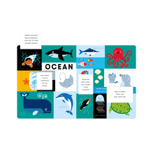 Load image into Gallery viewer, Lift The Flap | Animals