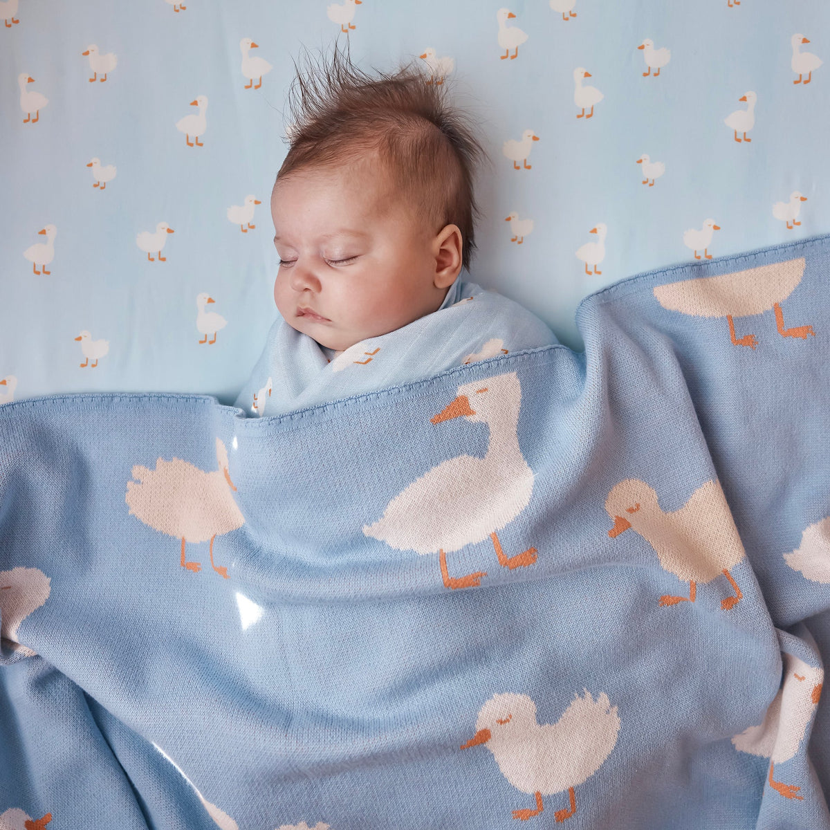 Blue Ducks Blanket