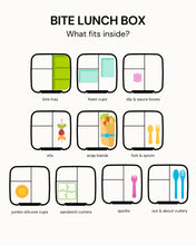 Load image into Gallery viewer, Bite Lunch Box | Splash