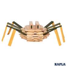 Load image into Gallery viewer, KAPLA Spider Case