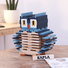 Load image into Gallery viewer, KAPLA Owl Case