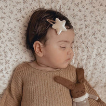 Load image into Gallery viewer, Clip Set | Velvet Stars