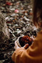 Load image into Gallery viewer, Play Pie Eco Mould