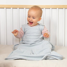 Load image into Gallery viewer, Go Go Bag | All Seasons | Turtle Dove Stripe