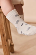 Load image into Gallery viewer, Whale Sock - Could Whales
