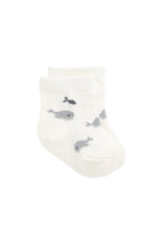 Load image into Gallery viewer, Whale Sock - Could Whales