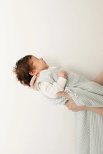 Load image into Gallery viewer, Go Go Bag | All Seasons | Turtle Dove Stripe