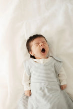 Load image into Gallery viewer, Go Go Bag | All Seasons | Turtle Dove Stripe