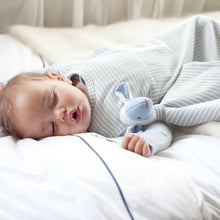 Load image into Gallery viewer, Go Go Bag | All Seasons | Turtle Dove Stripe