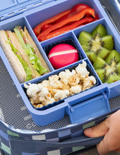 Load image into Gallery viewer, Bento Cups | Navy