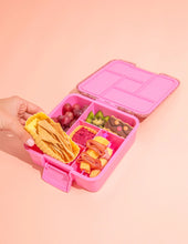 Load image into Gallery viewer, Bento Cups | Sunbeam