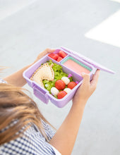 Load image into Gallery viewer, Bento Cups | Marine