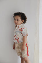 Load image into Gallery viewer, Shirt | Costa SIZE 0-3M, 3-6M, 2YR and 7YR