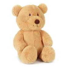 Load image into Gallery viewer, Honey Bear 34cm