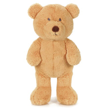 Load image into Gallery viewer, Honey Bear 34cm