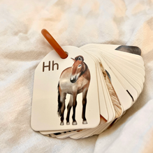 Load image into Gallery viewer, Ringed Animal Alphabet Flash Cards