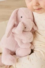 Load image into Gallery viewer, Snuggle Bunnies | Frankie the Hugging Bunny | Blossom