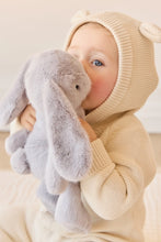 Load image into Gallery viewer, Snuggle Bunnies | Penelope the Bunny | Silver