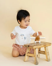 Load image into Gallery viewer, Harlan Hot Air Balloon 2pc Set