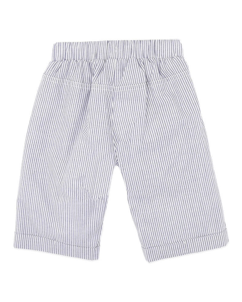 Brady Stripe Woven Pants