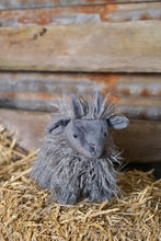 Load image into Gallery viewer, Aiden the Angora Goat