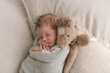 Load image into Gallery viewer, Harvey the Horse Hoochy Coochie