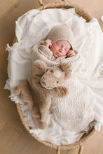 Load image into Gallery viewer, Harvey the Horse Hoochy Coochie