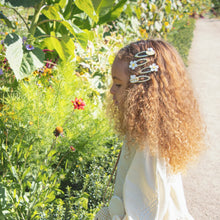 Load image into Gallery viewer, Beryl Bee Clips