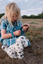 Load image into Gallery viewer, Debbie the Dalmation