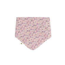 Load image into Gallery viewer, Liberty X Bibs Bandana Bib