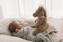 Load image into Gallery viewer, Harvey the Horse