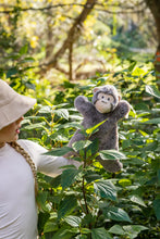 Load image into Gallery viewer, Mani the Monkey Hoochy Coochie