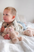 Load image into Gallery viewer, Mini Poppy the Pig Rattle