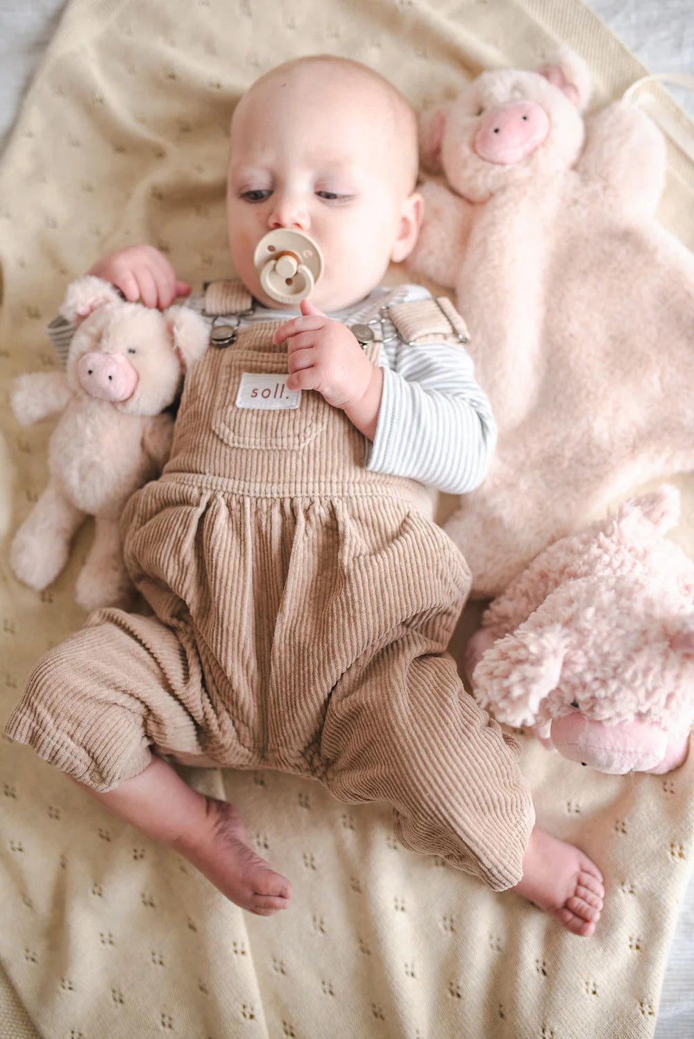 Mini Poppy the Pig Rattle