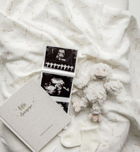 Load image into Gallery viewer, Baby Swaddle | Olive Branch