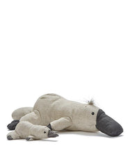 Load image into Gallery viewer, Pete the Platypus