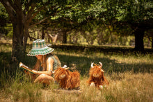 Load image into Gallery viewer, Heidi the Highland Cow