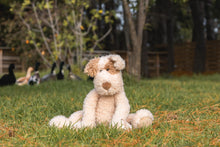 Load image into Gallery viewer, Buddy the Dog