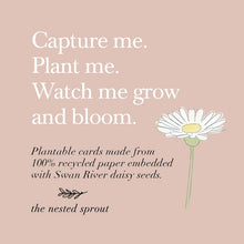 Load image into Gallery viewer, 'Rainbow' Eco-Friendly Baby Milestone Cards