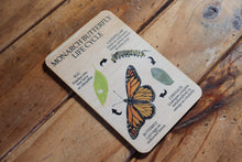 Load image into Gallery viewer, Butterfly Lifecycle Resource Set