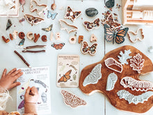 Load image into Gallery viewer, Butterfly Lifecycle Resource Set
