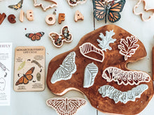 Load image into Gallery viewer, Butterfly Lifecycle Resource Set