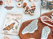 Load image into Gallery viewer, Butterfly Lifecycle Resource Set