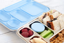Load image into Gallery viewer, 5 Compartment Leakproof Stainless Steel Lunch Box | Blue Seal and Lids